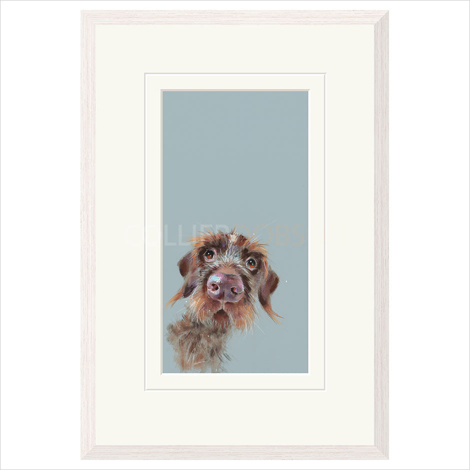Mischievous by Nicky Litchfield