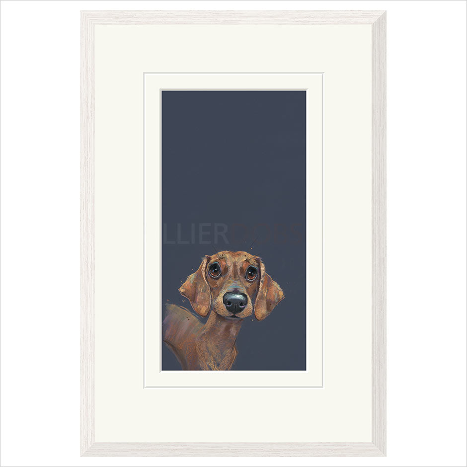 Sausage by Nicky Litchfield