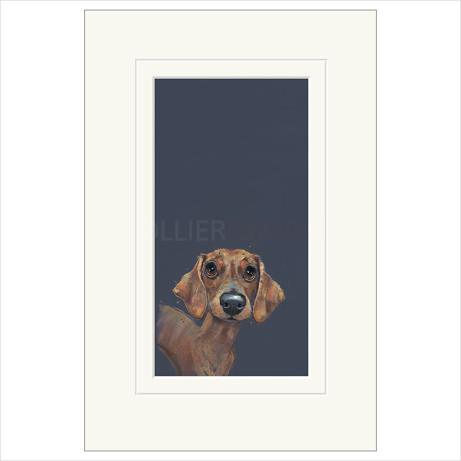 Sausage by Nicky Litchfield