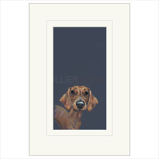 Sausage by Nicky Litchfield