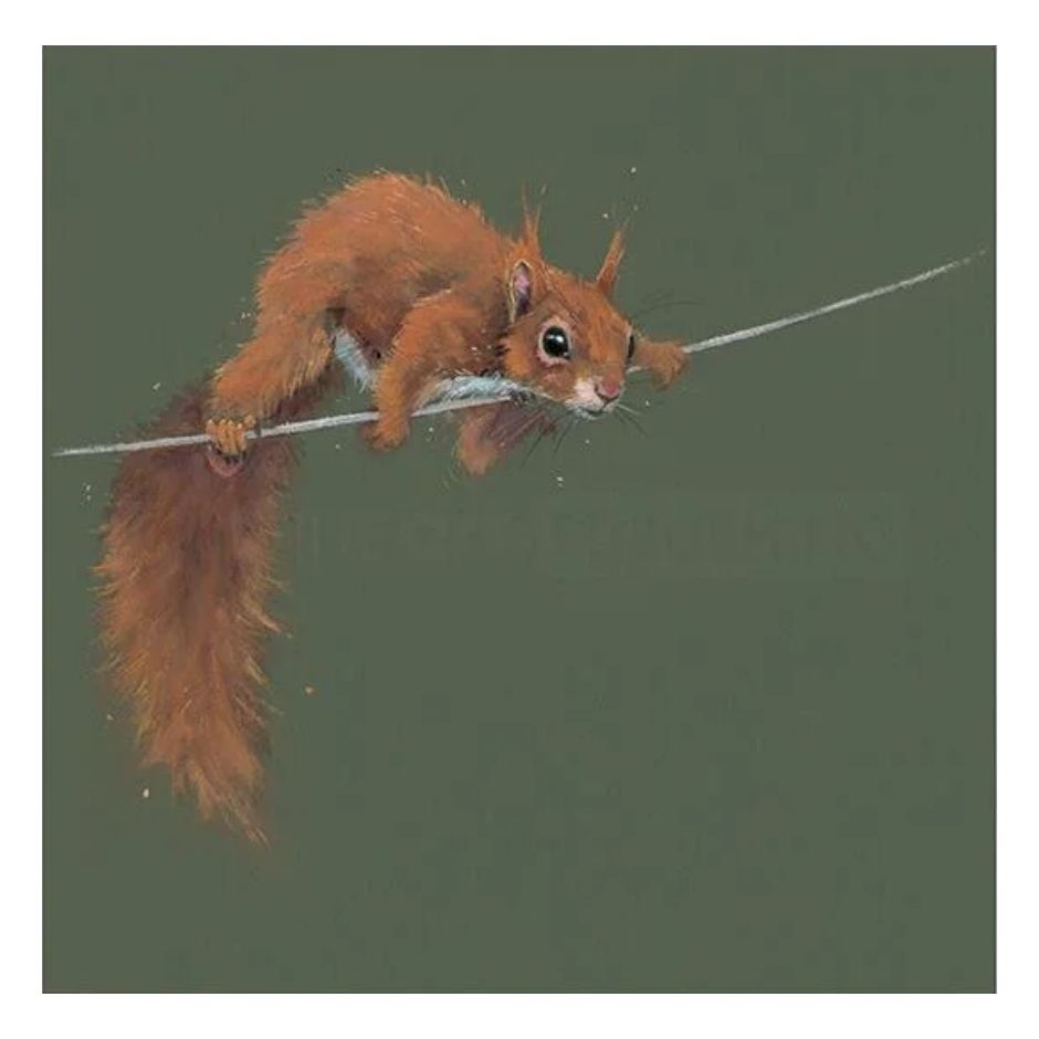 Nicky-Litchfield-Balancing-Act