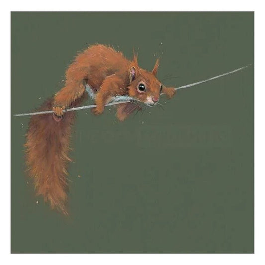 Nicky-Litchfield-Balancing-Act