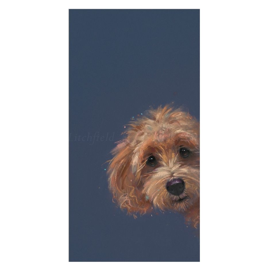 Close-up of a dog's face with a blue background