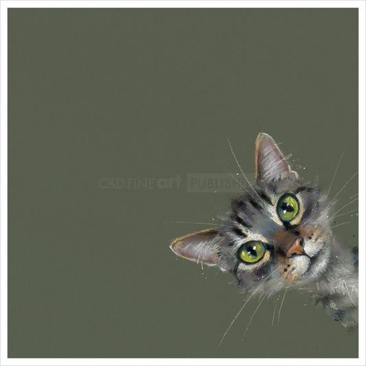 Nicky Litchfield Playtime