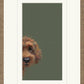 Nicky Litchfield Taking a Peek Framed 1