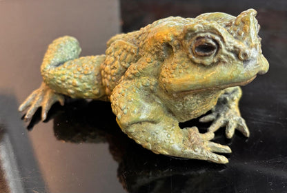 Toad