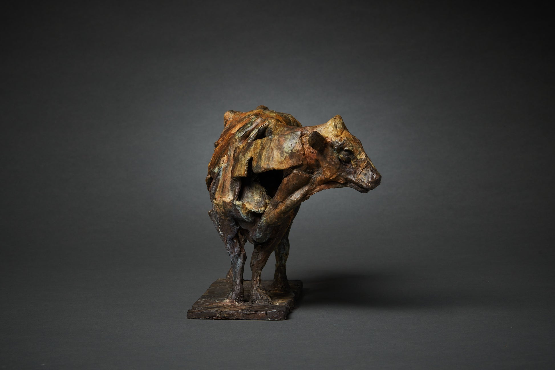 Fred Gordon Bronze cow sculpture
