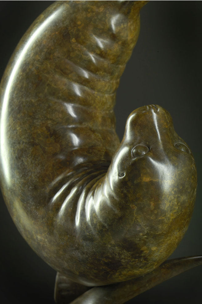 Bronze sculpture of a seal with a dark background