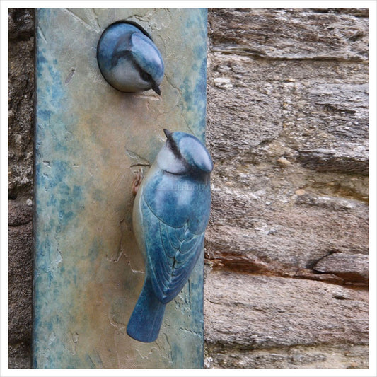 Blue Tit Plaque by Adam Binder