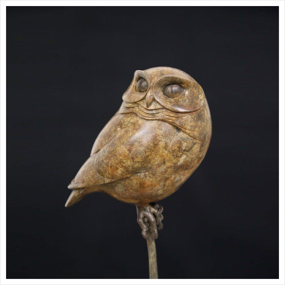 Little Owl III by Adam Binder