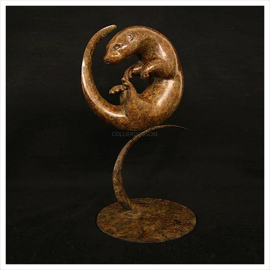 Circling Otter by Adam Binder