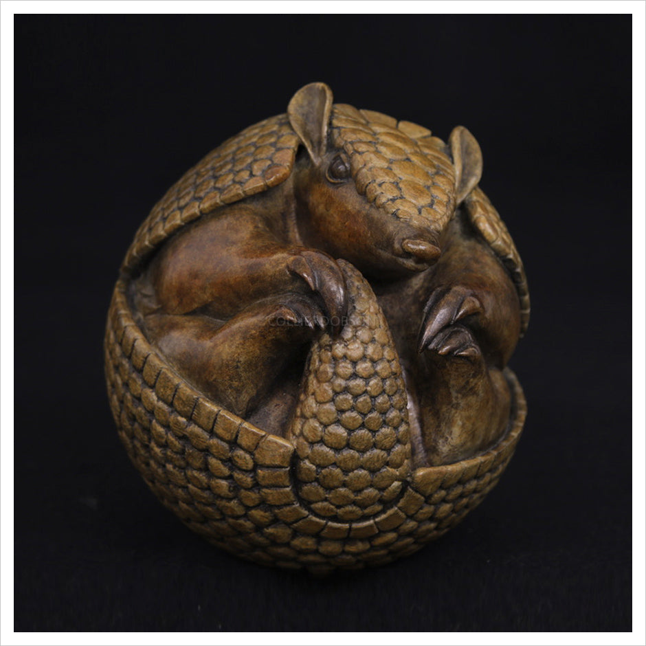Armadillo by Adam binder