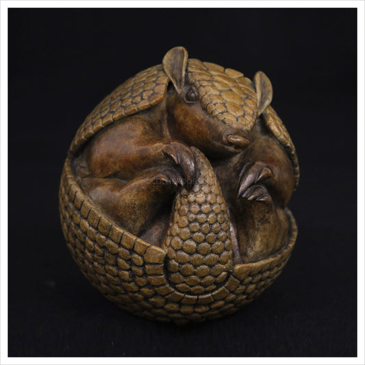 Armadillo by Adam binder