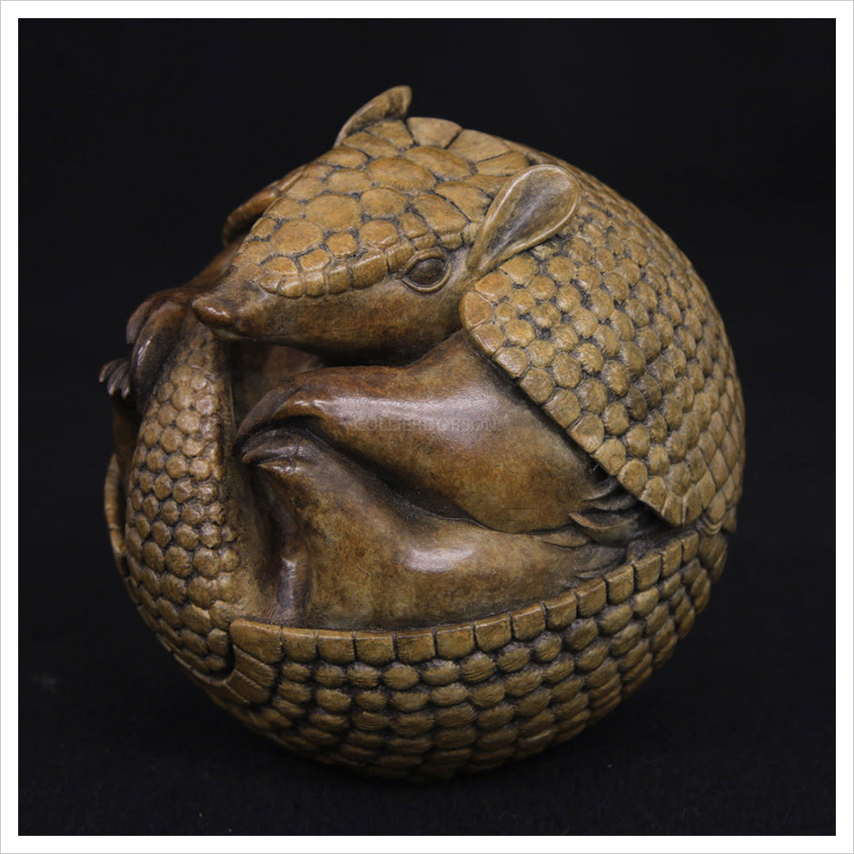 Armadillo by Adam binder