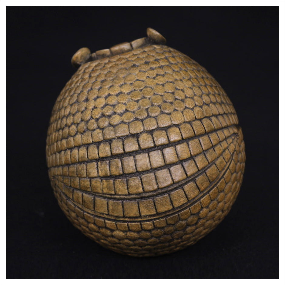 Armadillo by Adam binder