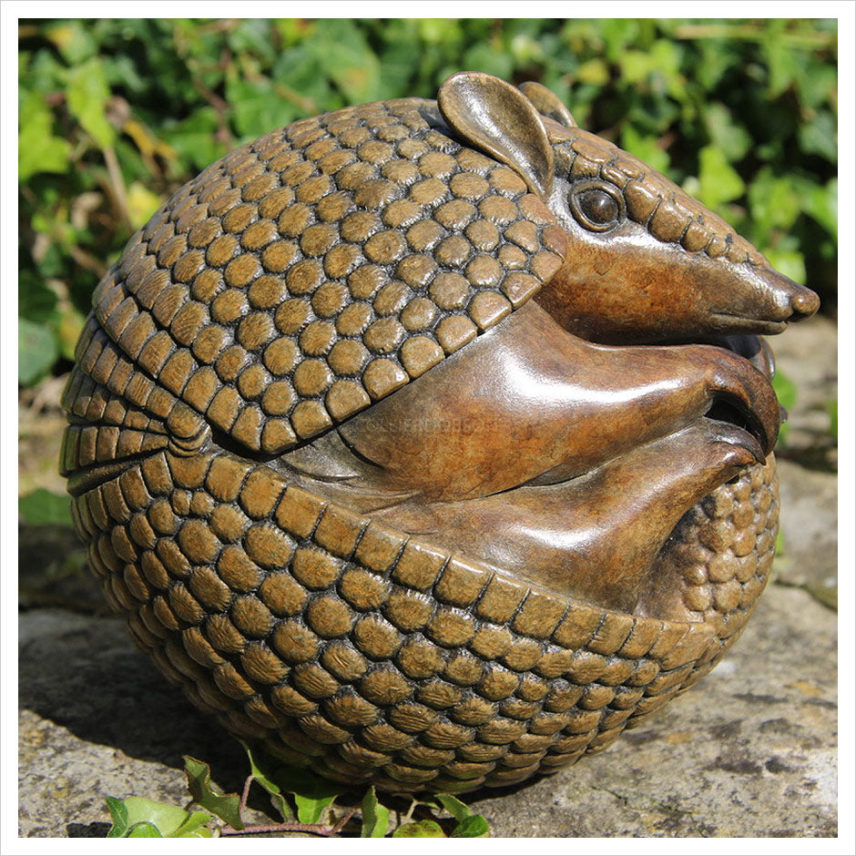 Armadillo by Adam binder