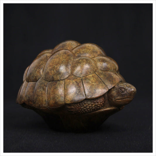 Tortoise II by Adam binder