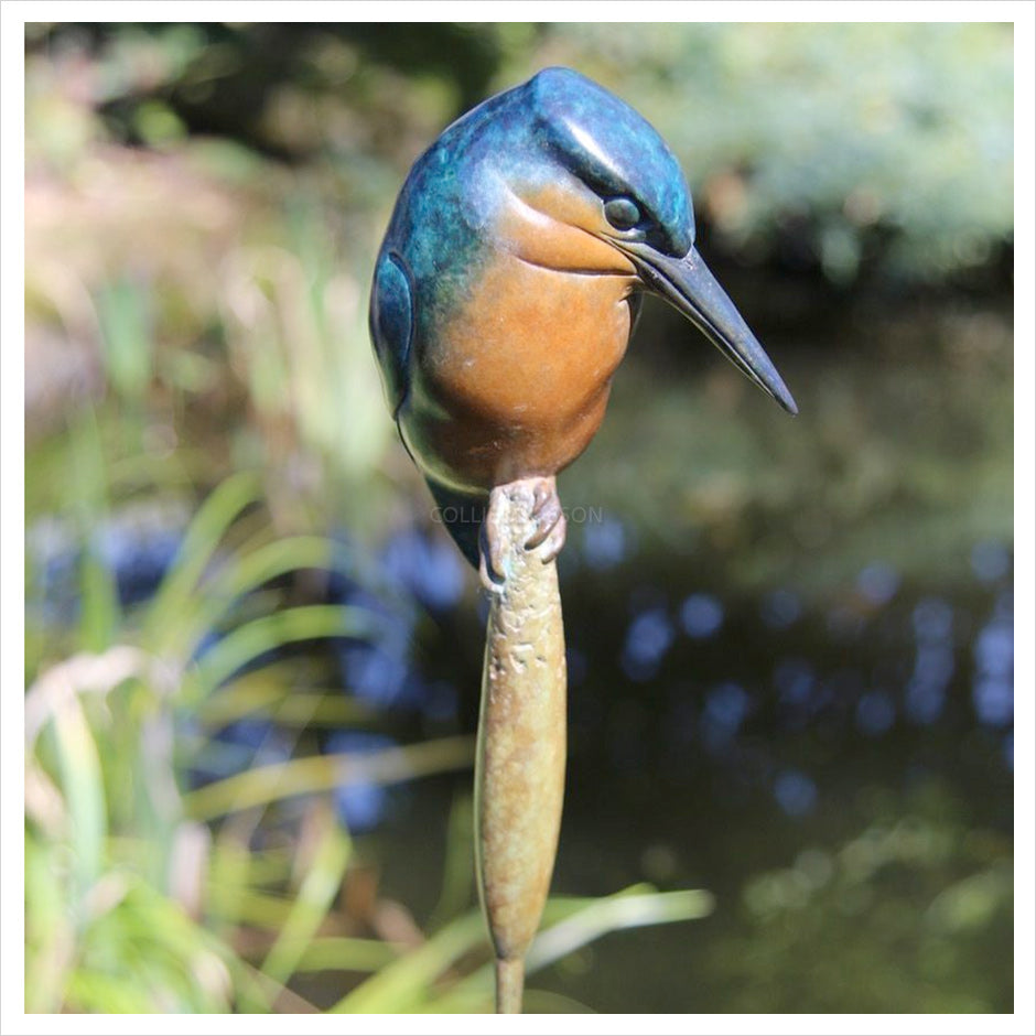 Kingfisher II by Adam Binder