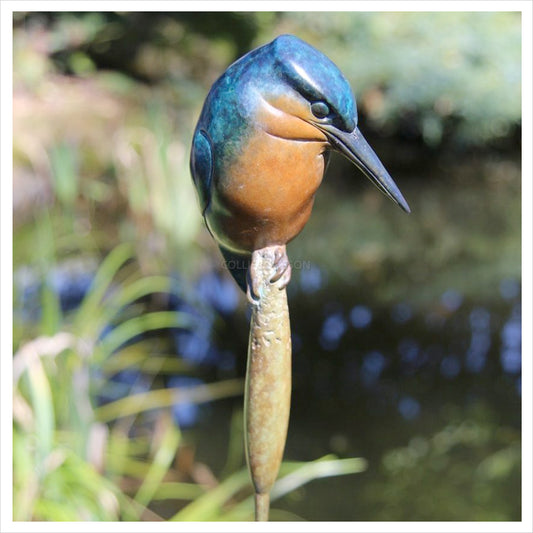 Kingfisher II by Adam Binder
