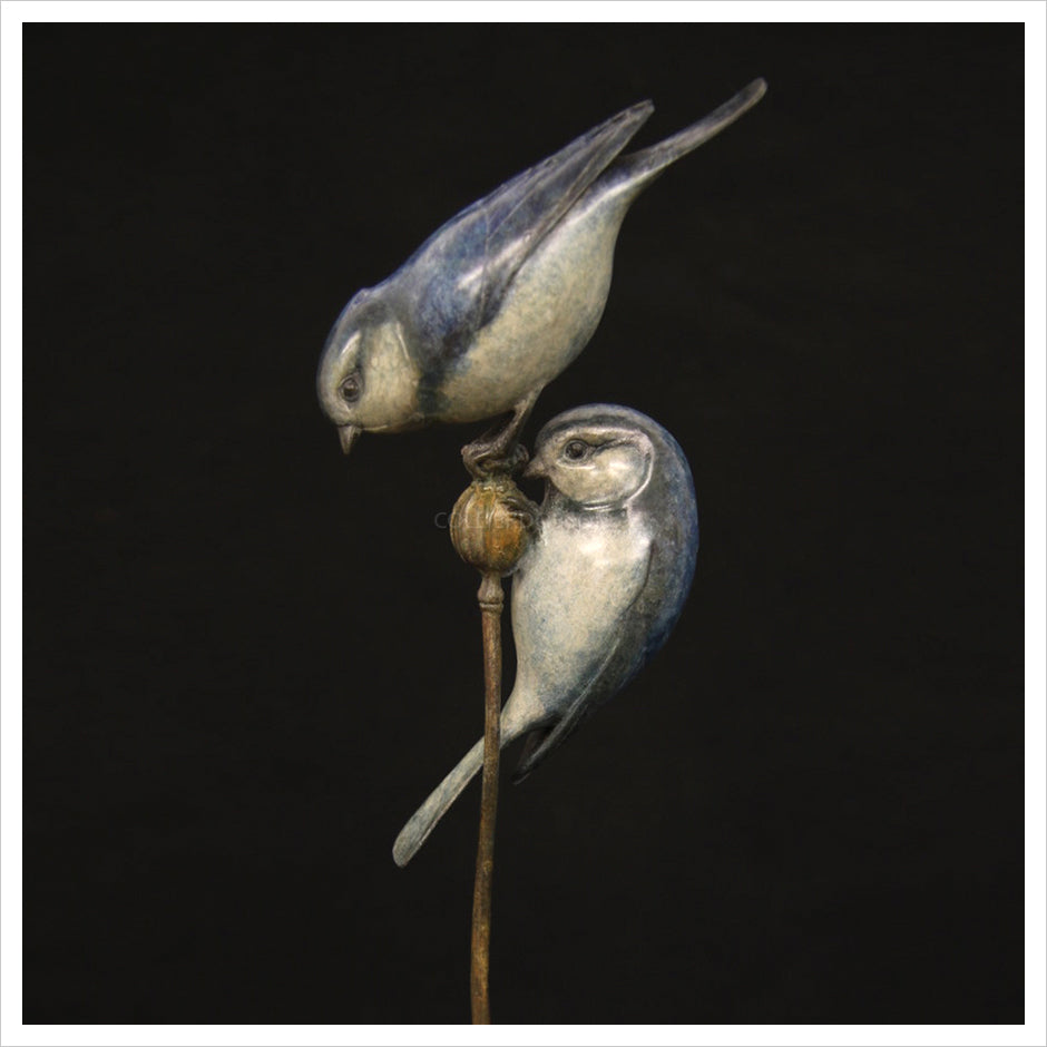 Two Bluetits by Adam Binder