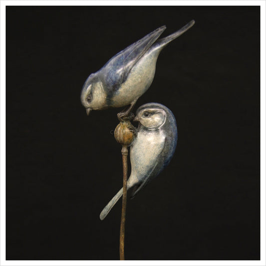 Two Bluetits by Adam Binder