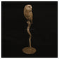 Barn Owl II by Adam Binder
