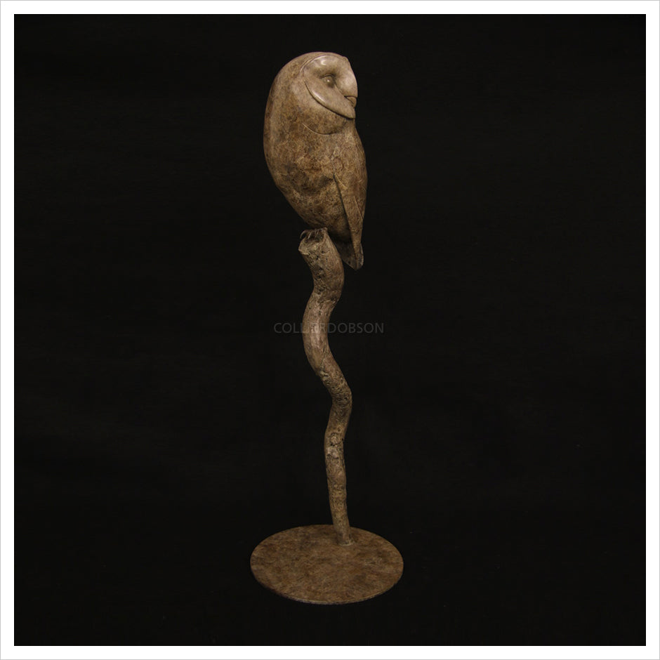 Barn Owl II by Adam Binder