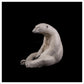 Sitting Polar Bear by Adam Binder