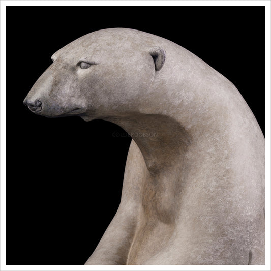 Sitting Polar Bear by Adam Binder