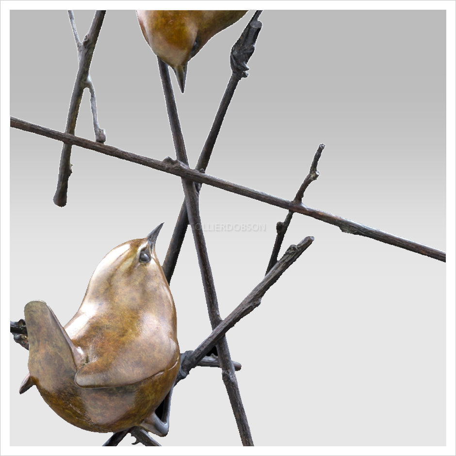 Two Wrens on Twigs by Adam Binder