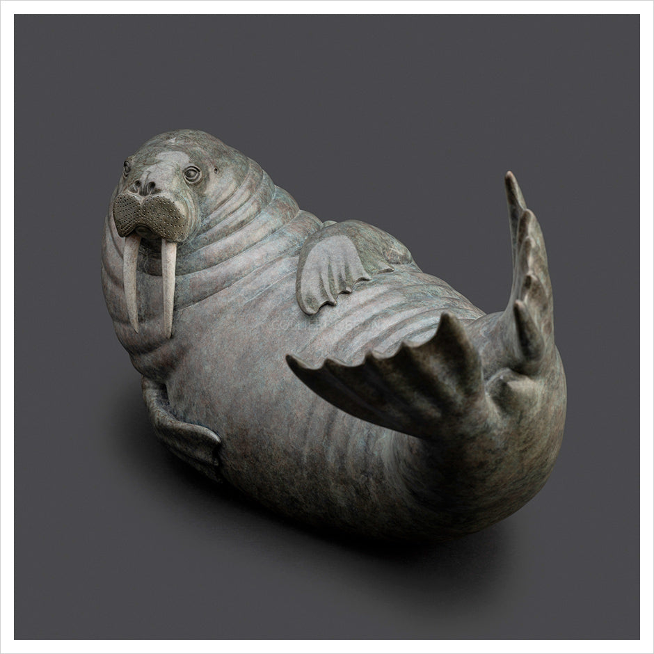 Walrus by Adam Binder