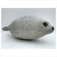 Harp Seal Pup
