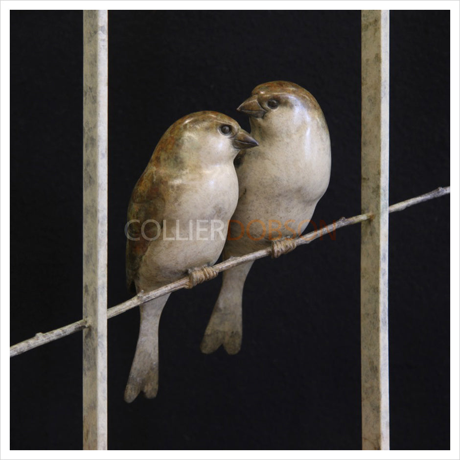 Sparrows in Frame by Adam Binder