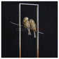 Sparrows in Frame by Adam Binder