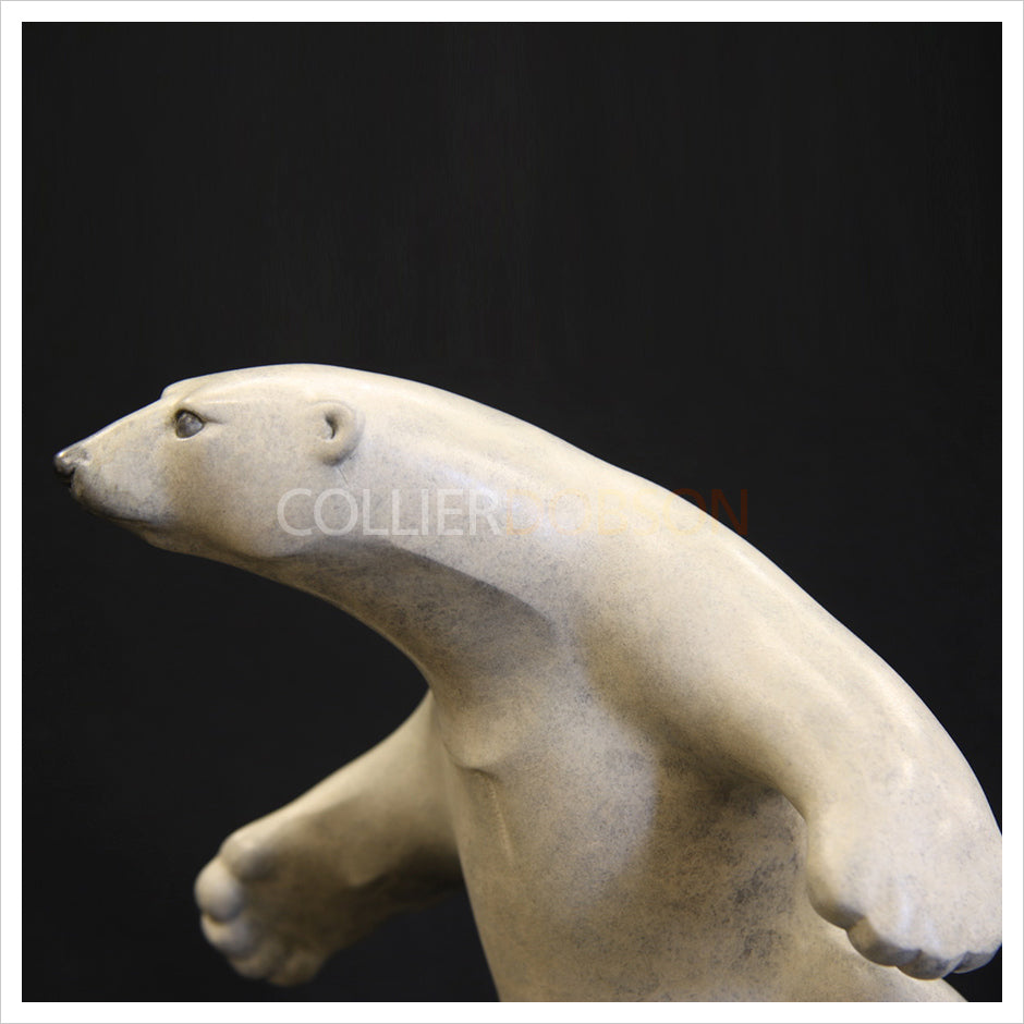 Dancing Polar Bear by Adam Binder