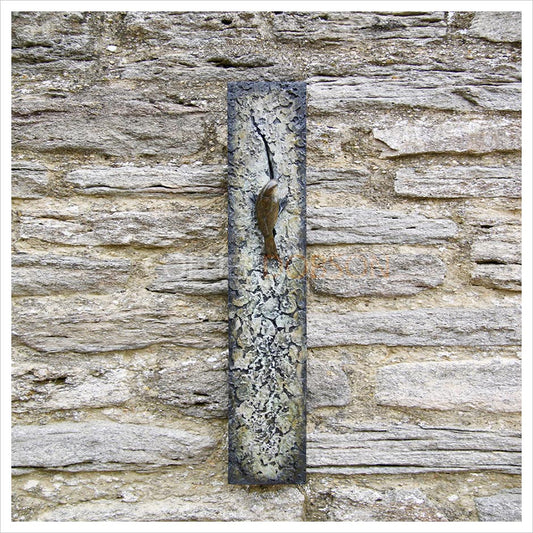 Tree Creeper Plaque by Adam Binder