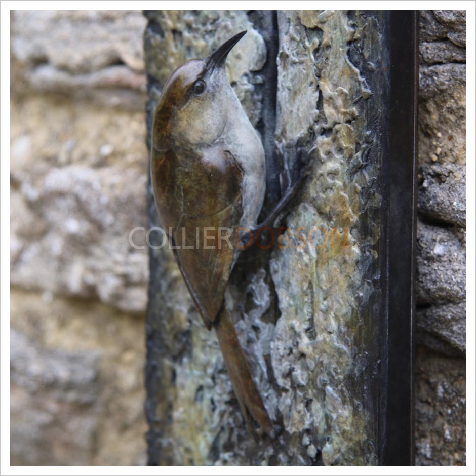 Tree Creeper Plaque by Adam Binder