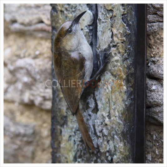 Tree Creeper Plaque by Adam Binder