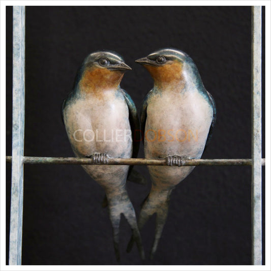 Swallows in a Frame by Adam Binder