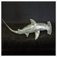 Hammerhead Shark by Adam Binder
