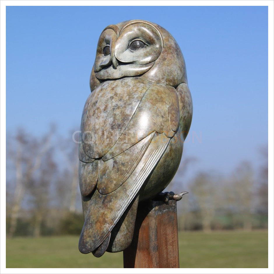 Tawny Owl on a Post by Adam Binder