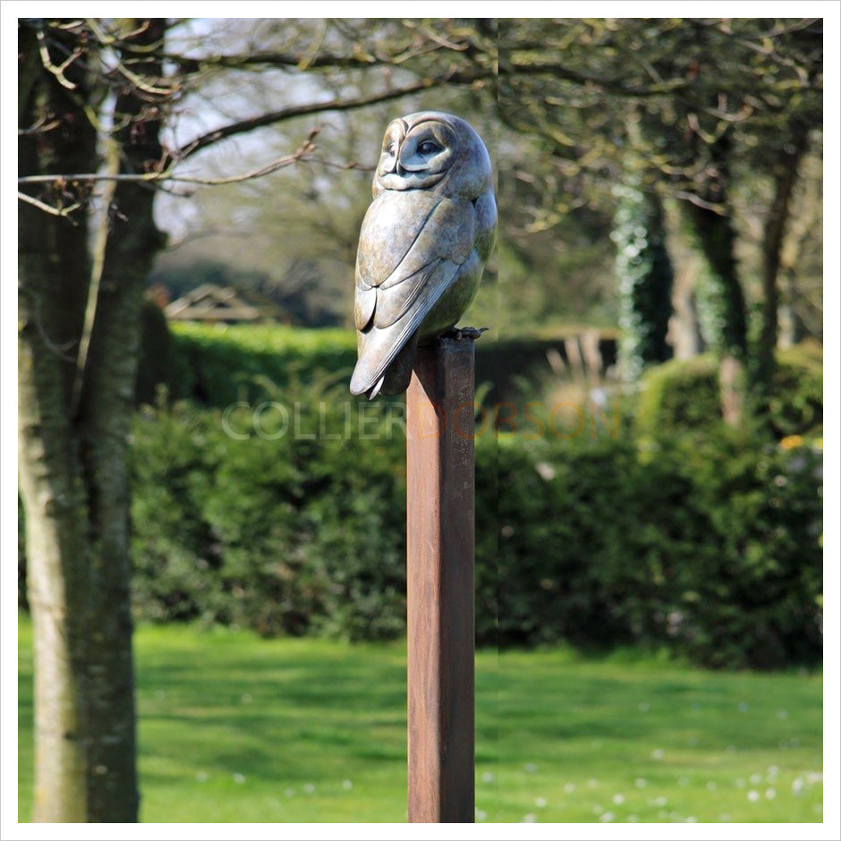 Tawny Owl on a Post by Adam Binder