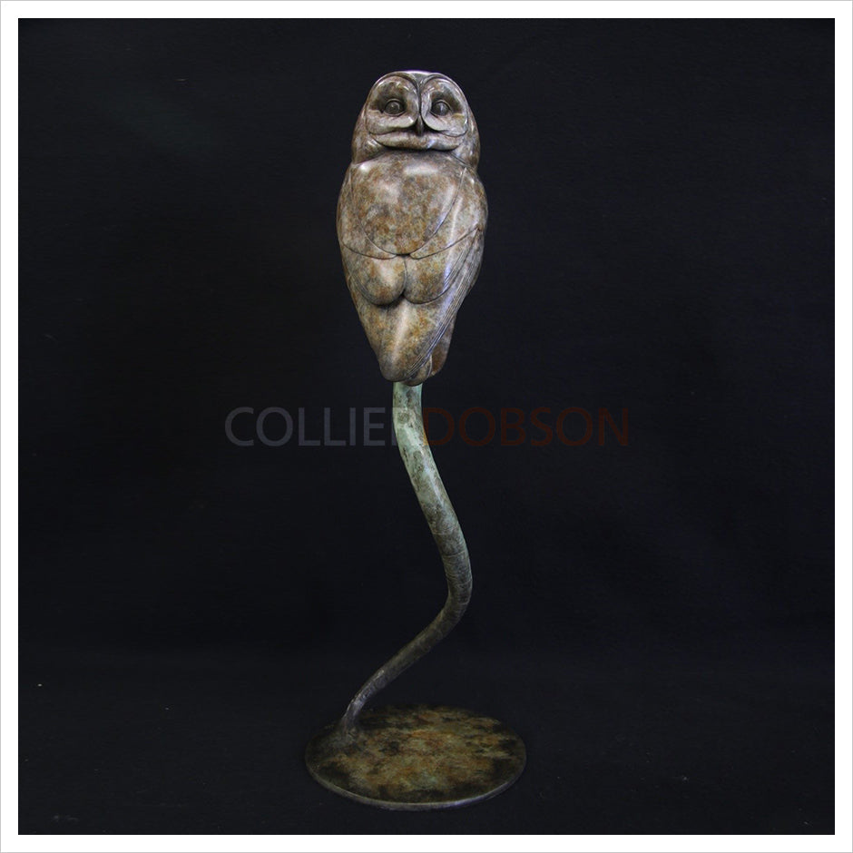 Tawny Owl II by Adam Binder