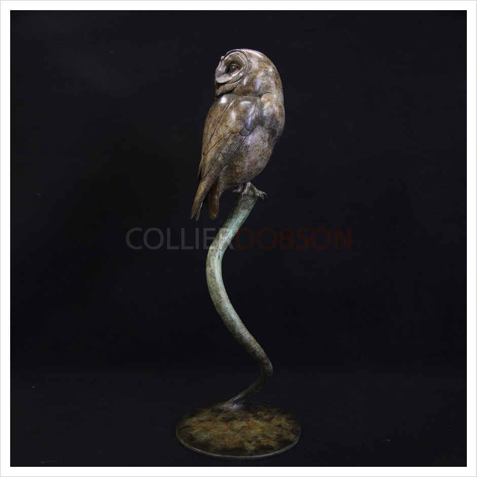 Tawny Owl II by Adam Binder