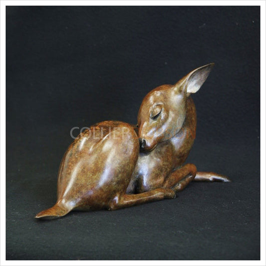 Fawn II by Adam Binder