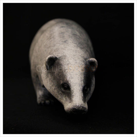 Badger by Adam Binder