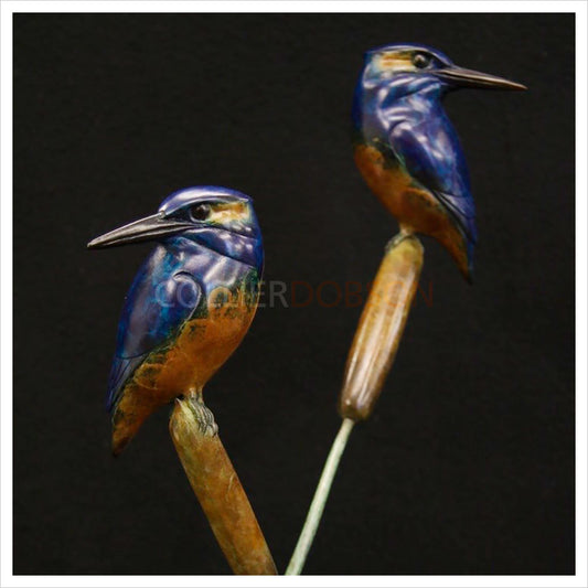 Pair of Kingfishers by Adam Binder