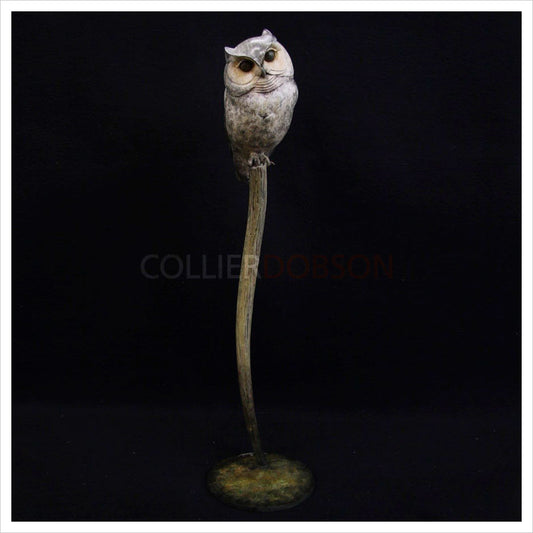 Scops Owl by Adam Binder
