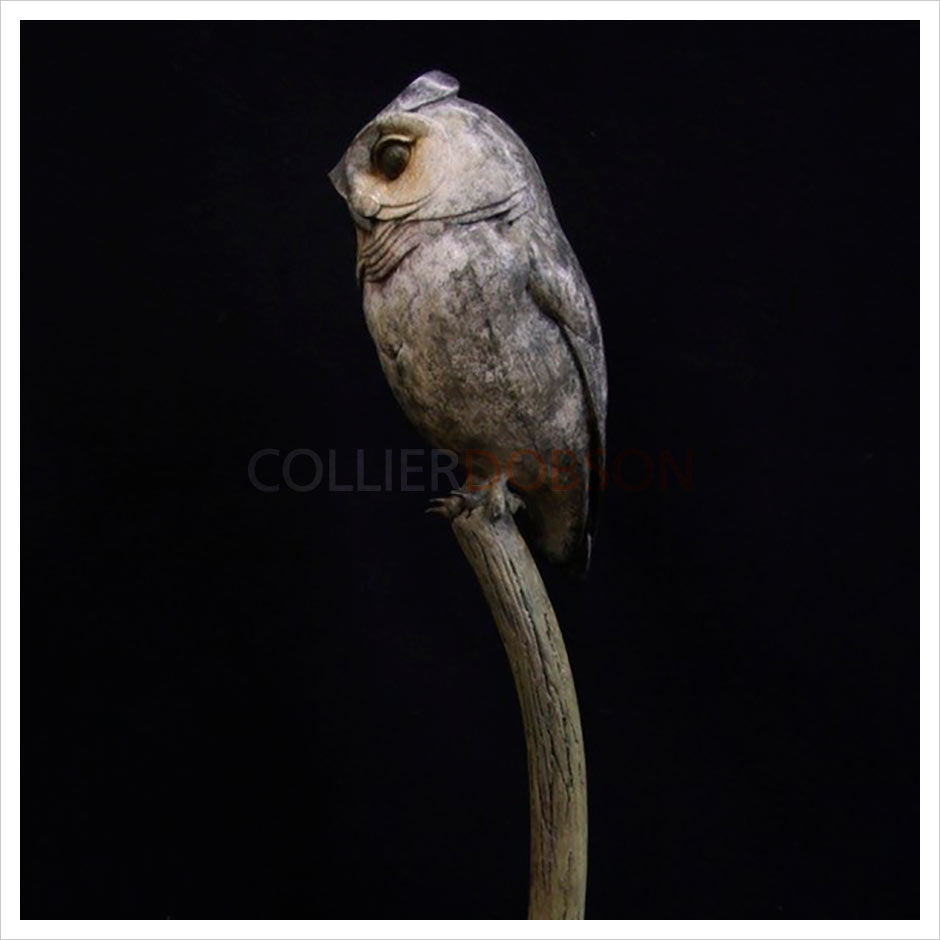 Scops Owl by Adam Binder