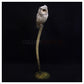 Scops Owl by Adam Binder